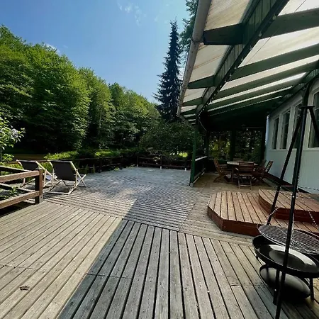 W Glebi Lasu Nad Stawem *