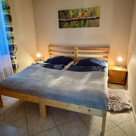 W Glebi Lasu Nad Stawem