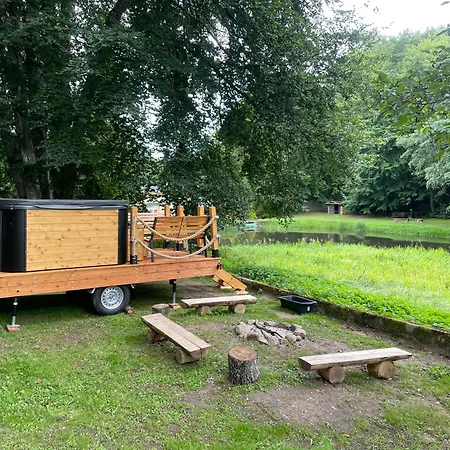 W Glebi Lasu Nad Stawem *